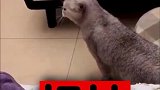 叫你坤哥干嘛