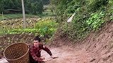 我爬不起来了