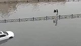 暴雨致路面严重积水，女子穿拖鞋淡定走护栏通过