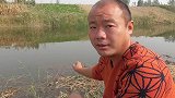 七星漂钓草边，别说，鱼口还真好