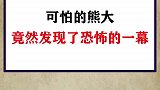 神奇的一幕你们发现了吗？怪界奇闻