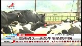 晨光新视界-20120426-美国：加州确认一头奶牛感染疯牛病