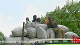 大猩猩霸道拦截汽车为小猩猩开路，司机您请走