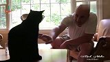 猫咪不让主人碰,网友：拒绝的方式太有教养