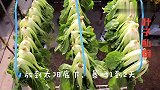 小白菜别再水煮，教你个古法做法，又酸又脆，2年不坏，比吃肉香