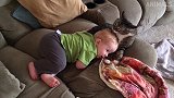 搞笑锦集：好奇宝宝一直看着猫咪的尾巴，这画面好搞笑！