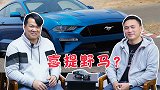 社论第三期：大佬，Mustang V8的对手该是谁？