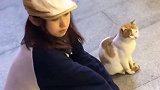这猫咪也太可爱了嘛，模仿能力超强啊！