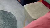 家里坏的东西，是小猫咬的证据确凿