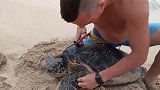 搁浅在沙滩的海龟，原来是身上缠了线走不了，幸好遇到好心人相救