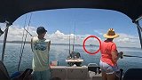 新西兰男子钓鱼时钓上三米长大白鲨 拍下鲨鱼跳出水面瞬间