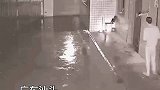 雷雨天气奶奶去接孙女许久未归，爷爷虽身体不适，但总出门等待