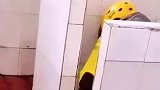 最后太真实了！一定要看完