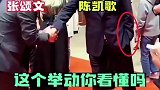 陈凯歌手插口袋跟张颂文握手，这个举动你看懂吗