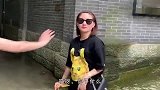 妹子，你可别跑了，我都快笑出腹肌来了！