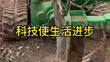 现代化机械是真的牛啊，树根轻轻松松就刨下来了