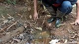 男子在清理自家后院，发现一奇怪的洞穴，出来的东西让他脸色变了