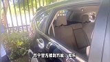 “00后”男子花完几百万拆迁款，和同村人疯狂砸车窗行窃被刑拘：都赌博