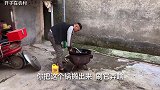 开子准备去接妈妈出院，媳妇却不想让婆婆回家，这到底咋回事？