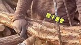 大爷你悠着点呀，千万别失误