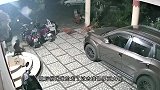 三只狗凌晨守夜，不料来了一头猛兽，镜头拍下惊险全过程！
