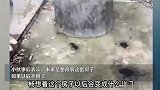 男子谈好400元租房，第二天房东加价到1000，网友议论纷纷