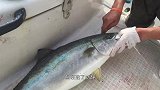 日本大厨处理鳗鱼，鳗鱼刚想反咬一口就被爆头，趁着没死切成刺身
