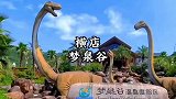 浙中区最大的温泉乐园开始特价啦！