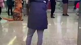 父子俩穿恐龙装在机场接妈妈