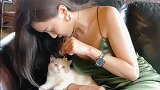 用头发撸猫