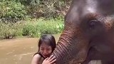 旅游除了骑大象还有很多种互动方式，你更喜欢哪一种呢！泰国大象