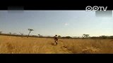 国外年度体育类点击率最高：骑手被羚羊撞飞