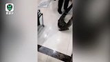 武汉遭暴雨 鳄鱼爬进肉联厂 警方捕获移交保护中心