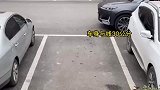 现实版的倒车入库，新手一定要看完