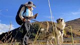 贵州小伙带狗徒步1750公里去拉萨：主要是陪狗