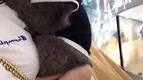 逛街热闹人好多