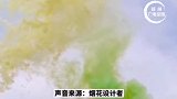 5月24日湖南浏阳，男子设计稻穗状烟花纪念袁爷爷，“这样更有纪念意义” 。