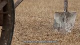 60岁老汉挖地窖挖出“钱库”，吓得赶紧上报国家，结果挖出钱库