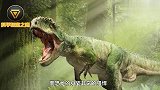 恐龙统治地球1亿多年，为啥一直没进化？你看看它一亿年在干嘛！