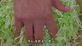 炝拌包菜丝家常做法，清脆爽口，下饭真的太好吃了