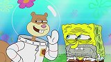 海绵宝宝：海绵宝宝刚要吃掉珊迪的试验品，就被珊迪阻止了