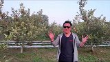 北京假期亲子一日游，还能吃到烤全羊