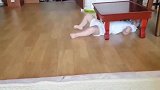 这个残疾宝宝眼睛好奇怪，移动方式也好奇怪