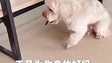 好汉不吃眼前亏，演的那是淋漓尽致