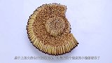 小伙用1万2000根火柴，做了一颗小地雷，点燃后太震撼了！