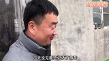 淘双血统金毛，狗届大暖男长的就是漂亮，这小狗你喜欢吗