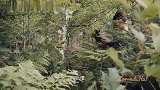 东北搞笑配音版《救治》之别有用心，剧情神转折，笑点十足！