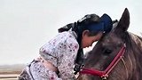 画面温馨有爱！马儿即将参加赛马 女孩温柔抚摸贴贴 为它加油！