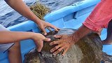 海狮在岸上苦苦挣扎，救援人员靠近看清，差点泪目！