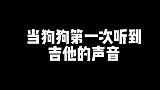 是什么令帅哥花容失色